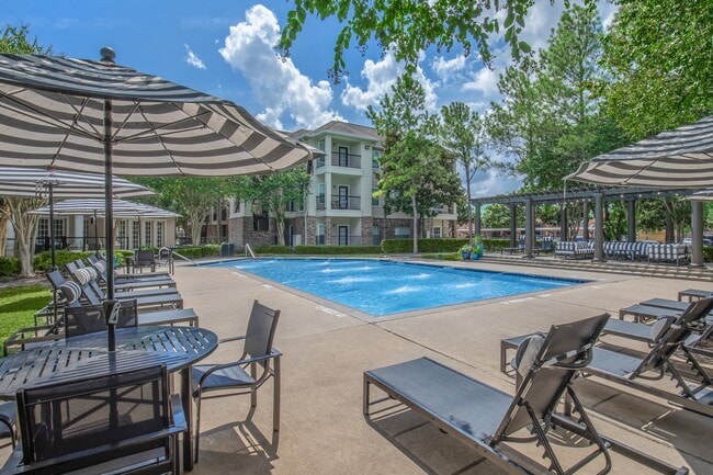 Photo - Westchase Forest