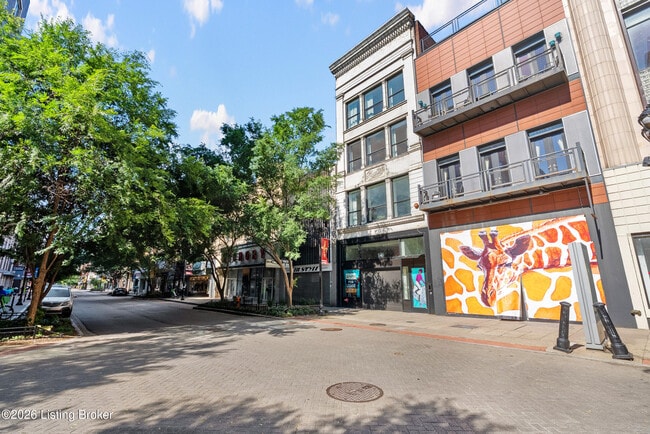 Building Photo - 540 S 4th St Unit 401
