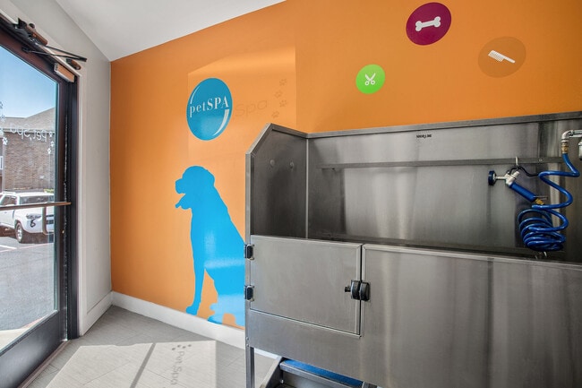 C242450_AdairoffAddison_Petspa2_05