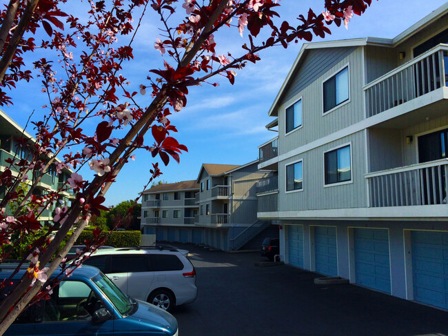 Parking Area Entrance - 362 Alida Way Apartments