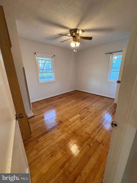 Photo - 3007 Elmwood Dr