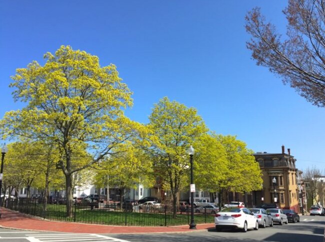 Photo - 75 Putnam St Unit 1