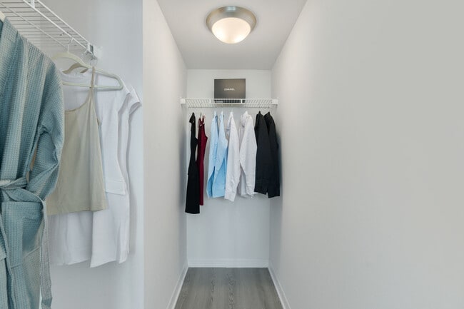 Photo - Wake Biscayne Bay