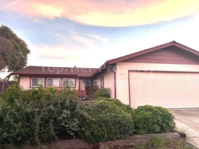 Building Photo - Very nice 4 Bed/2 Bath /1,250 square foot house in Concord available April 1st! Features and amen...