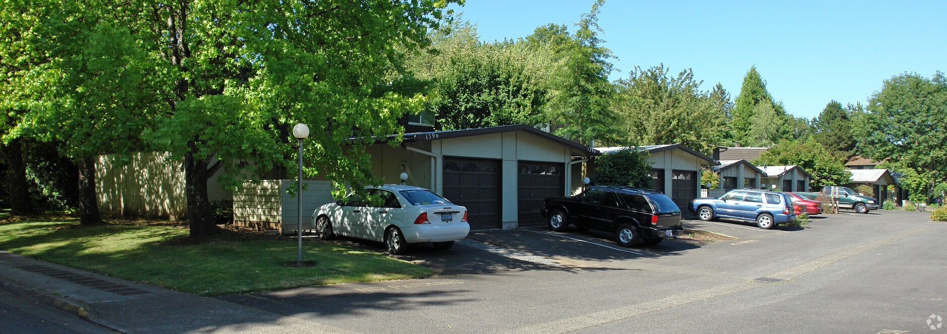 Photo - Cedar & Oaks