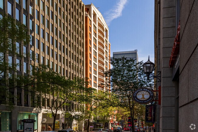 Photo - Le Demetrius