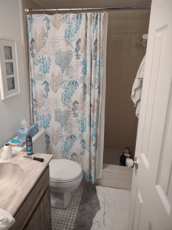 Photo - 21 Dondanville Rd