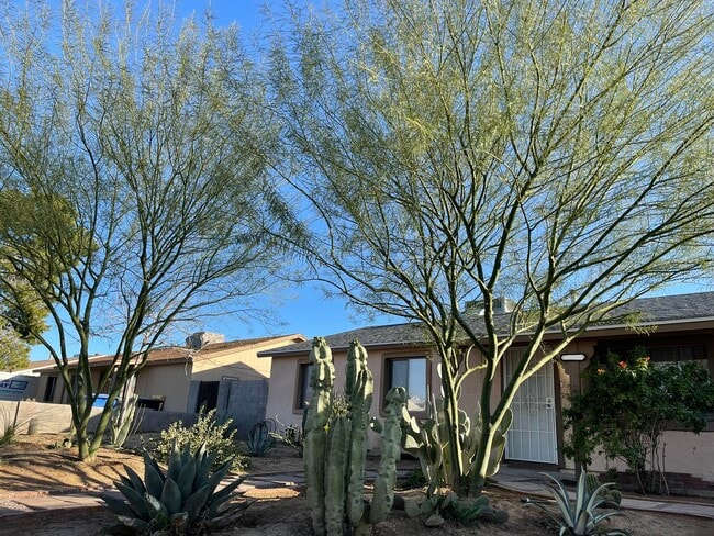 Photo - 3813 E Gelding Dr