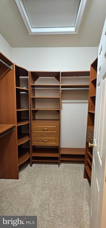 Photo - 20462 Alicent Terrace