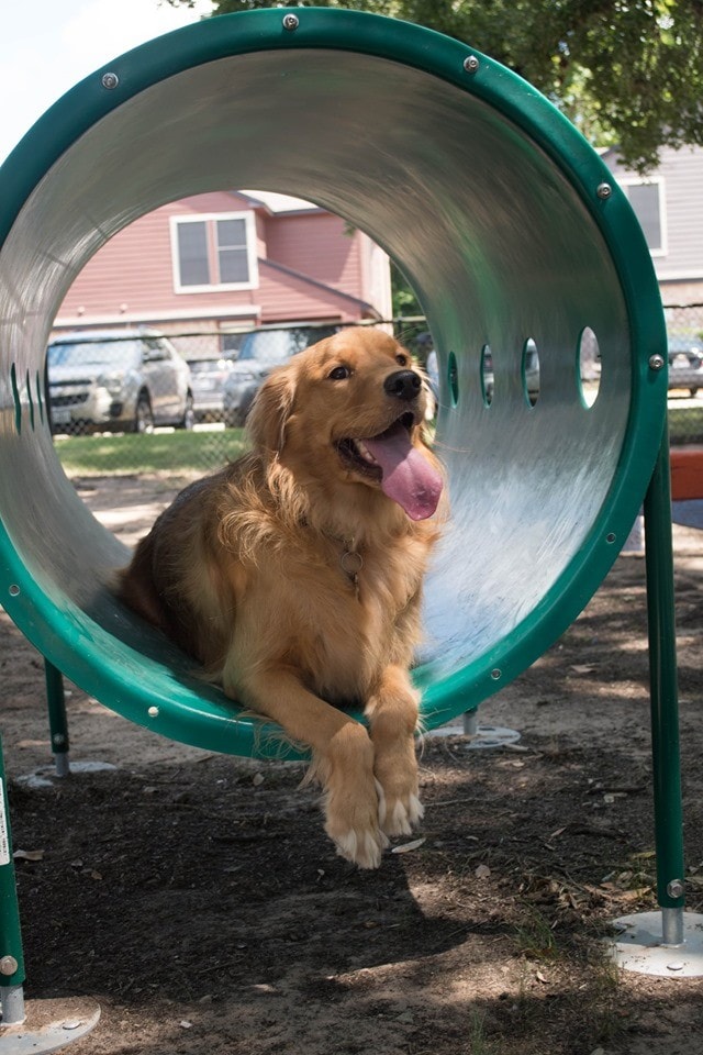 Photo - Oak Bend Apartments