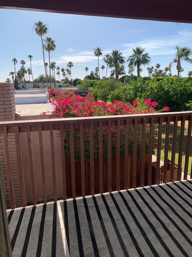 Photo - 2901 S Palo Verde Ln