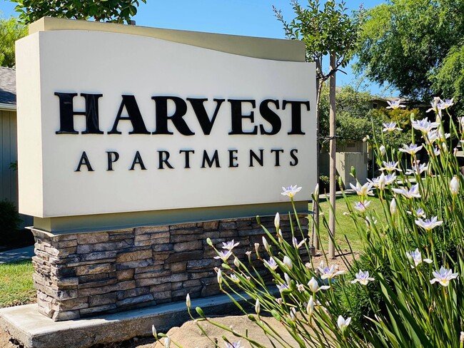 Harvest Apartments - Harvest Apartments