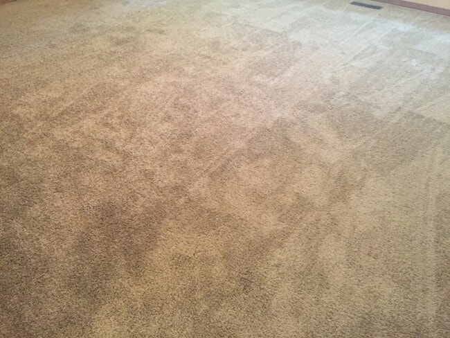 Building Photo - 108 Fair St