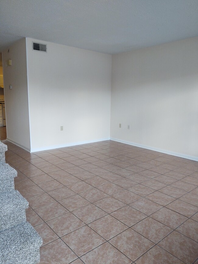 Azulejos de entrada interior en todo el primer piso. - 251 Knight Dr