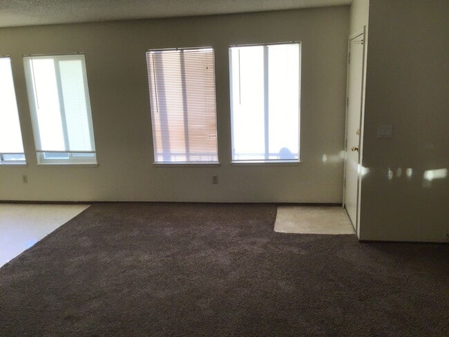 Photo - 350 Alemar Way Unit 4