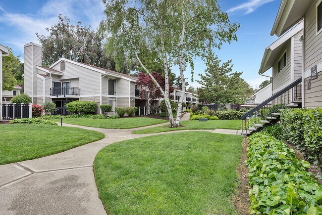 Brookside Oaks
