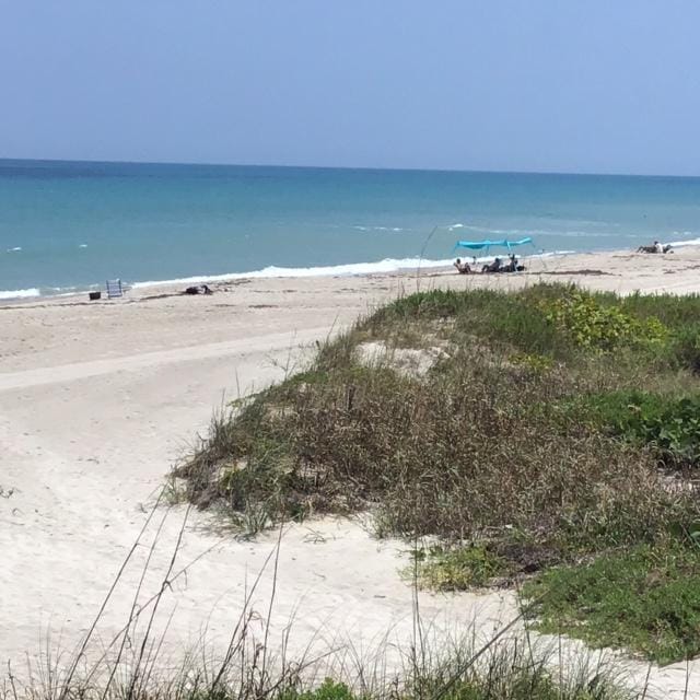 Photo - 735 N Hwy A1A Unit 301