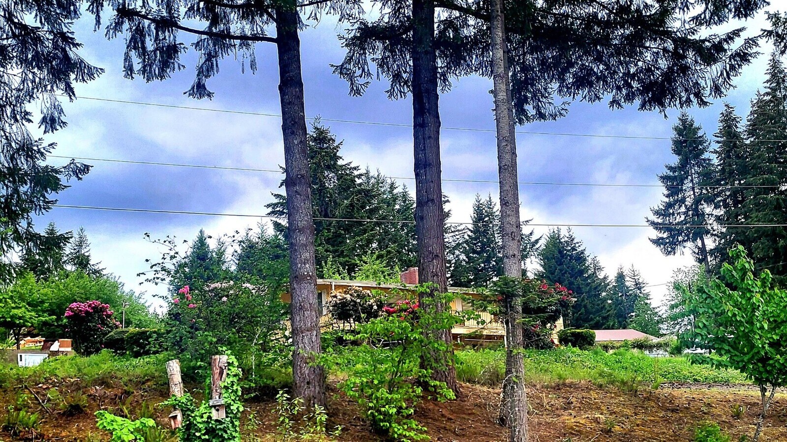 3-bedroom 2 bath House with Lake view - 3-bedroom 2 bath House with Lake view
