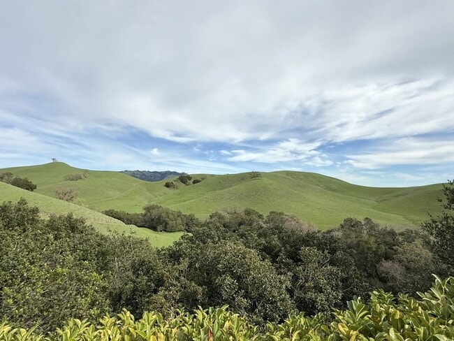 Photo - Beautiful custom one story estate located on one of the most desirable streets in Blackhawk Count...