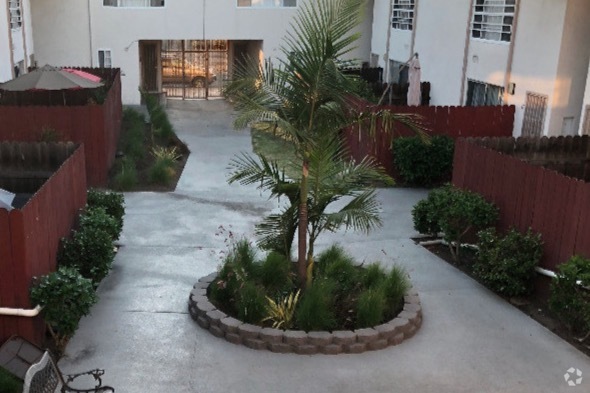 Courtyard - Palm Terrace Rental