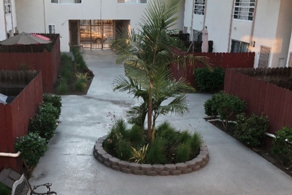 Courtyard - Palm Terrace Apartments