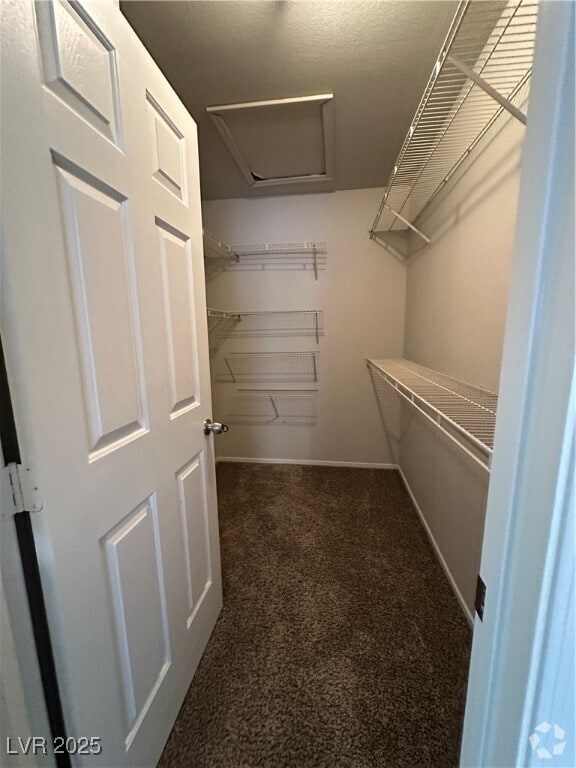 Building Photo - 2604 Ponderosa Pine Ave Rental