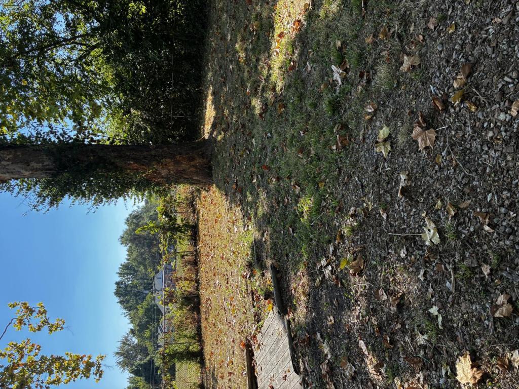 Photo - 10019 Northgate Dr