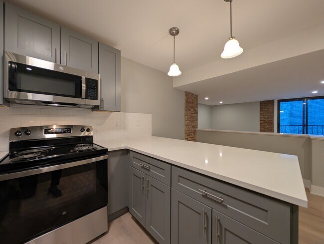 1214 N La Salle Dr
