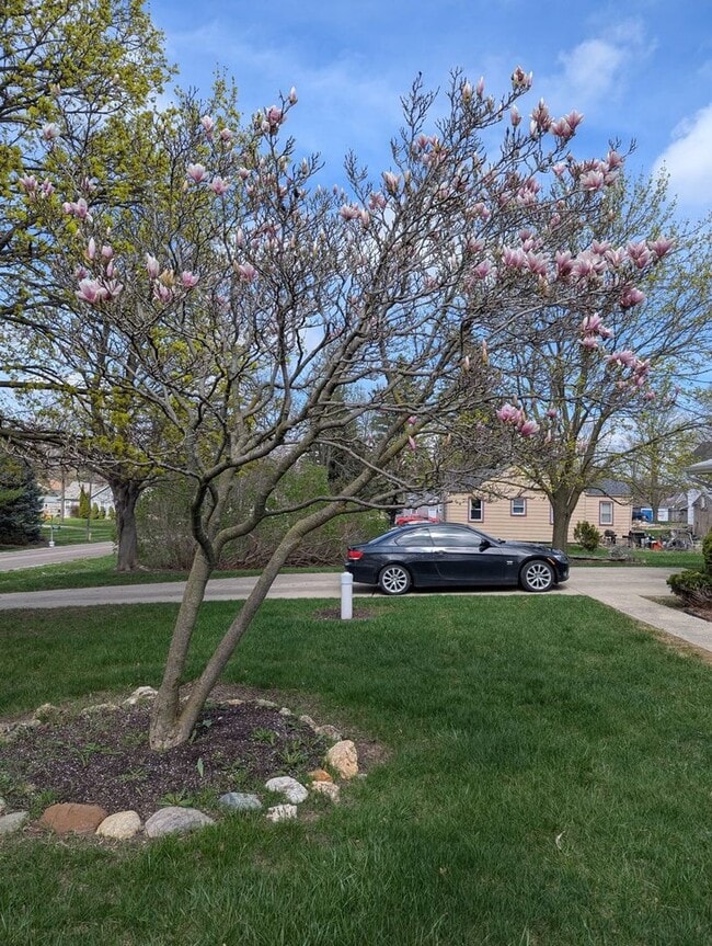 Photo - 3 bedroom in Grand Blanc Twp.