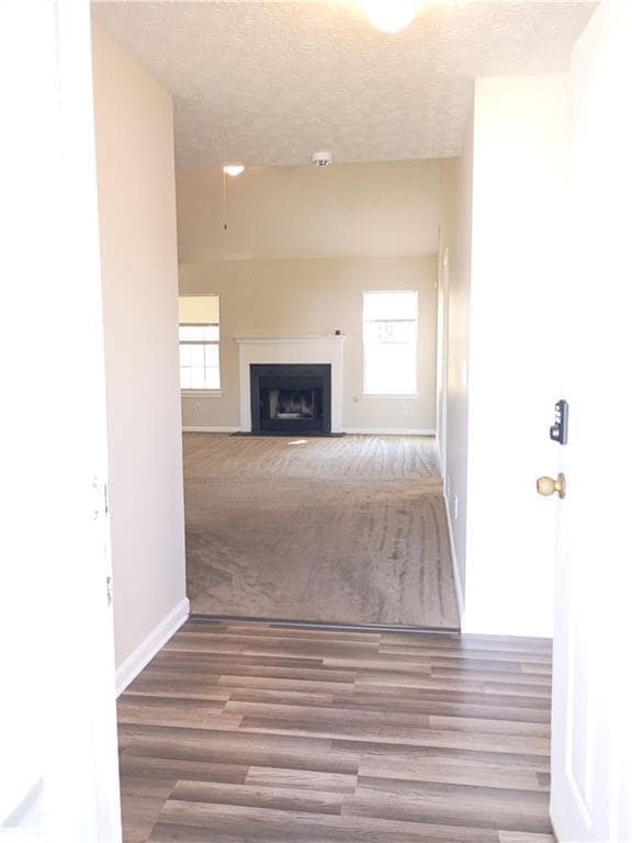 Photo - 173 Floresta Dr