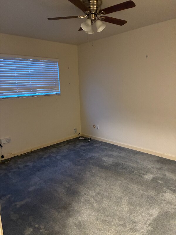 Photo - 3300 Brookdale Ave Unit 5