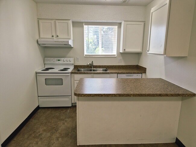 Photo - Magnussen Apartments Unit 18