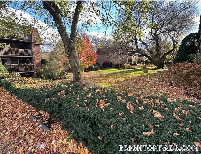 Photo - 142 Kenrick St Unit 2
