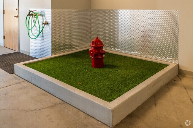 Dog Relief Station