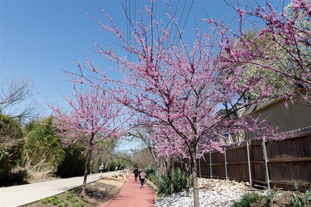 Photo - 4044 Buena Vista St Unit 104