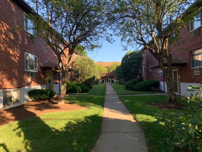 Courtyard and Entry - 26 Bryon Rd Unidad #1