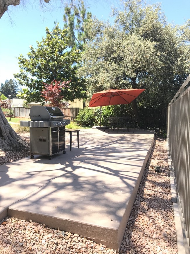 BBQ/Picnic area