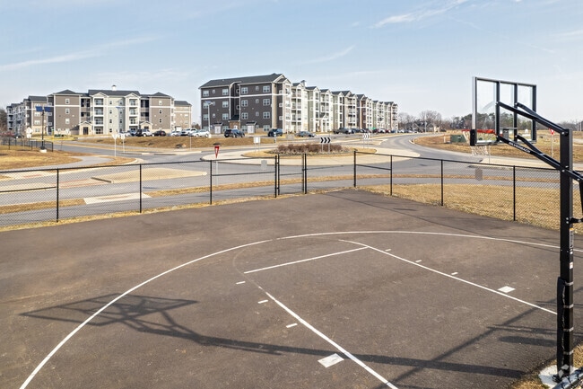 Basketball Court