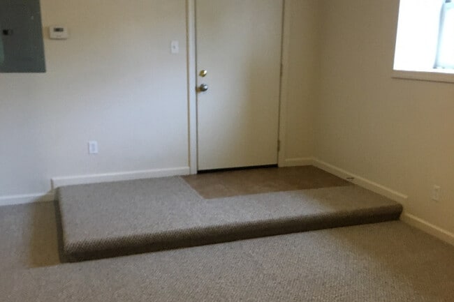 Photo - 211 Willey St