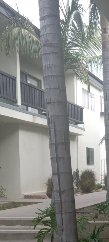 Photo - 10726 Orange Grove Ave Unit 10