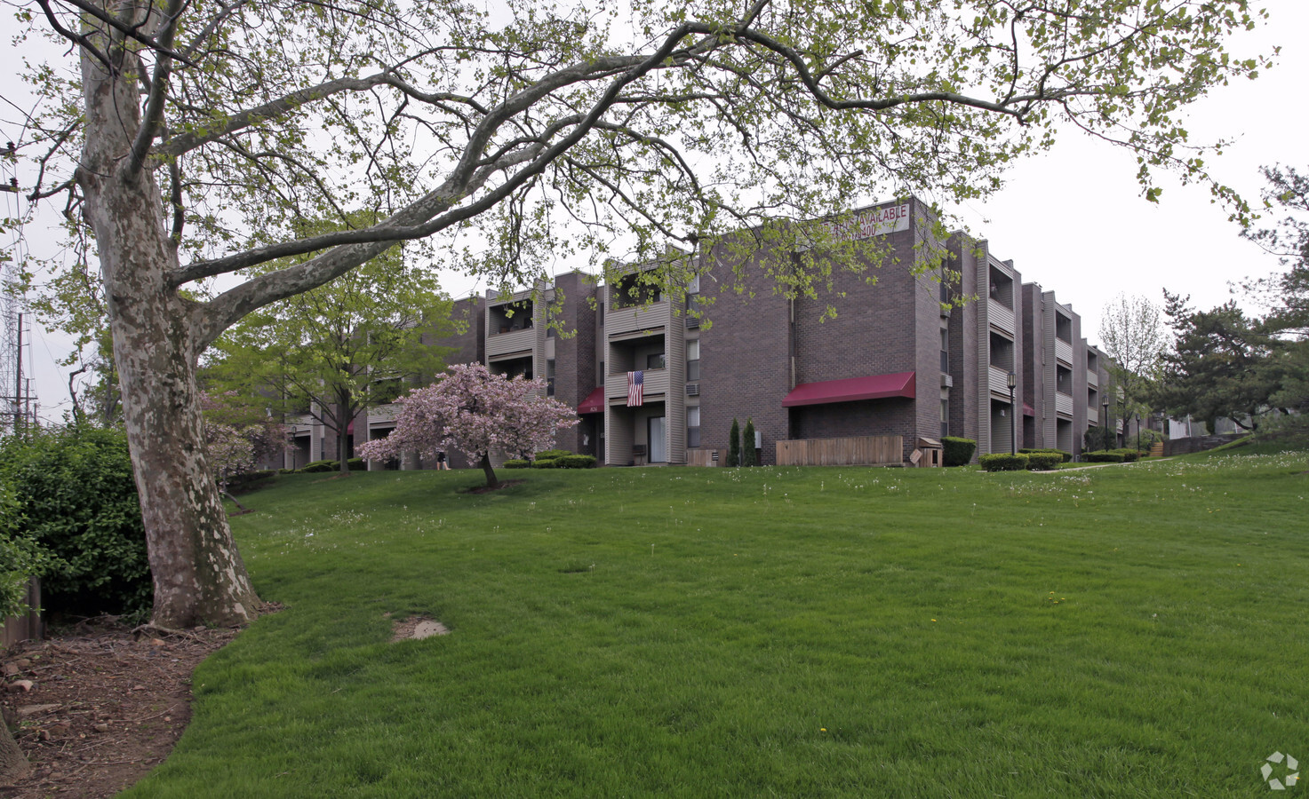 Photo - Arbor Hills Apartments