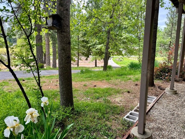 Photo - 125 Unit B