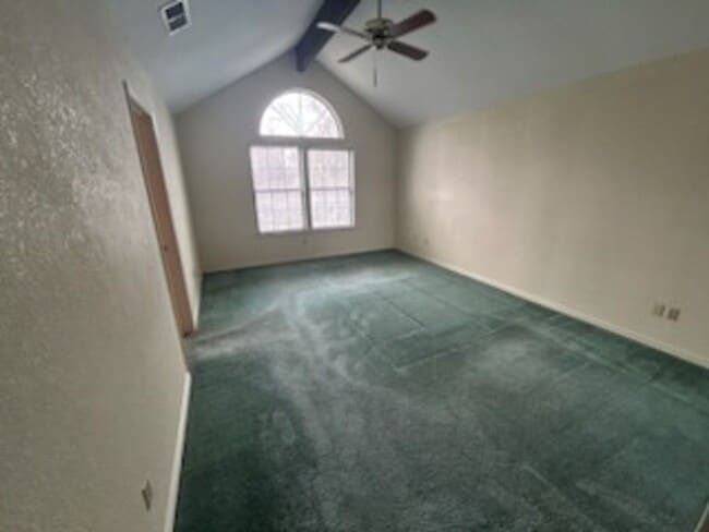 Photo - SHOWING FEB. 24, 26, AND 28 @ 12-12:30PM