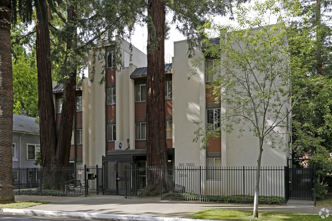 Photo - Big Trees Apartments