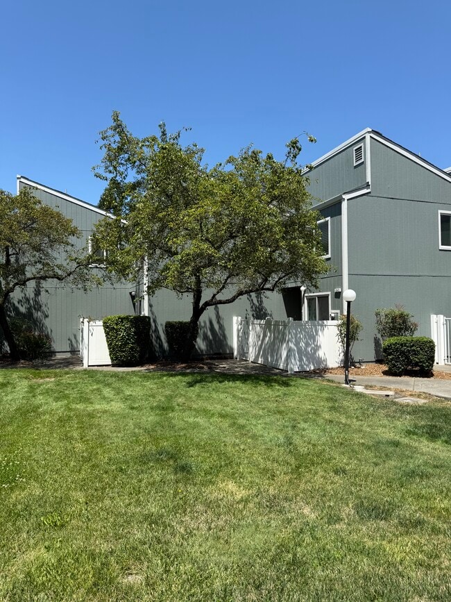 Building Photo - 1243 Camino Corto Rental