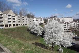 West Virginia University Downtown Campus Off Housing The Villas At Bon Vista