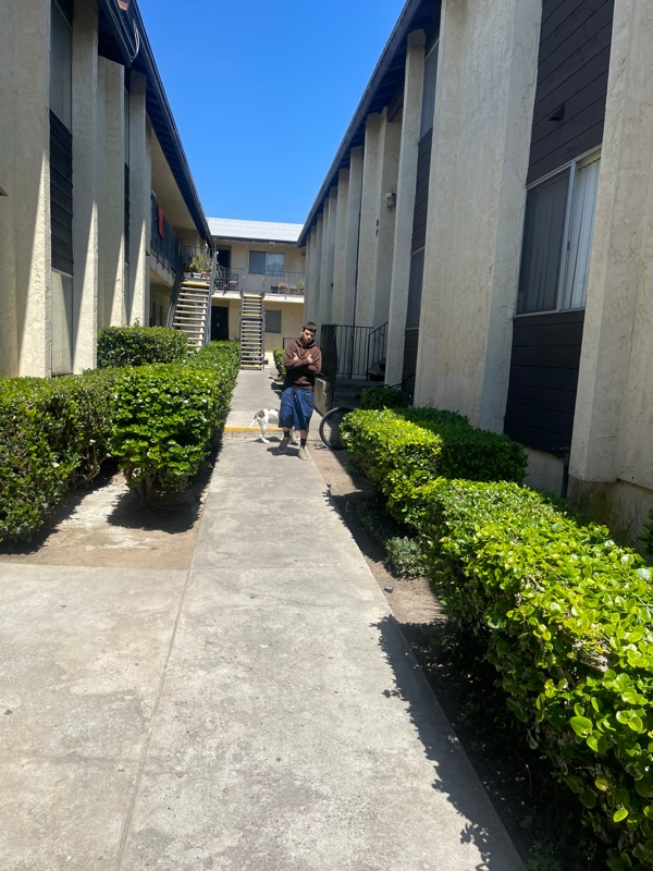 Building Photo - 344 S Willie James Jones Ave Rental