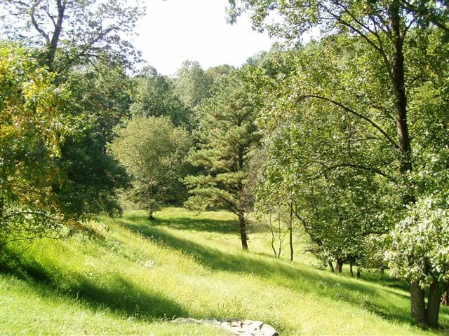 Photo - 391 E Rose Tree Rd