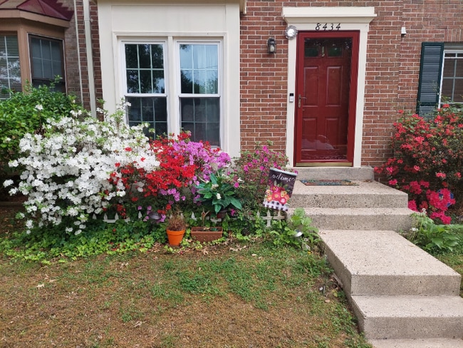 Photo - 8434 Springfield Oaks Dr Townhome