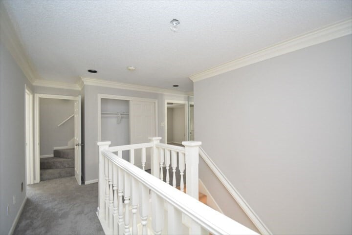 Photo - 538 Longview Dr